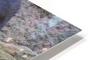 otters HD Metal print