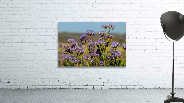 Flowers Wall Preview