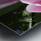 IMG 6066 Metal print