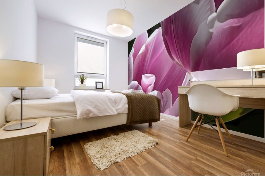 IMG 6066 Mural print