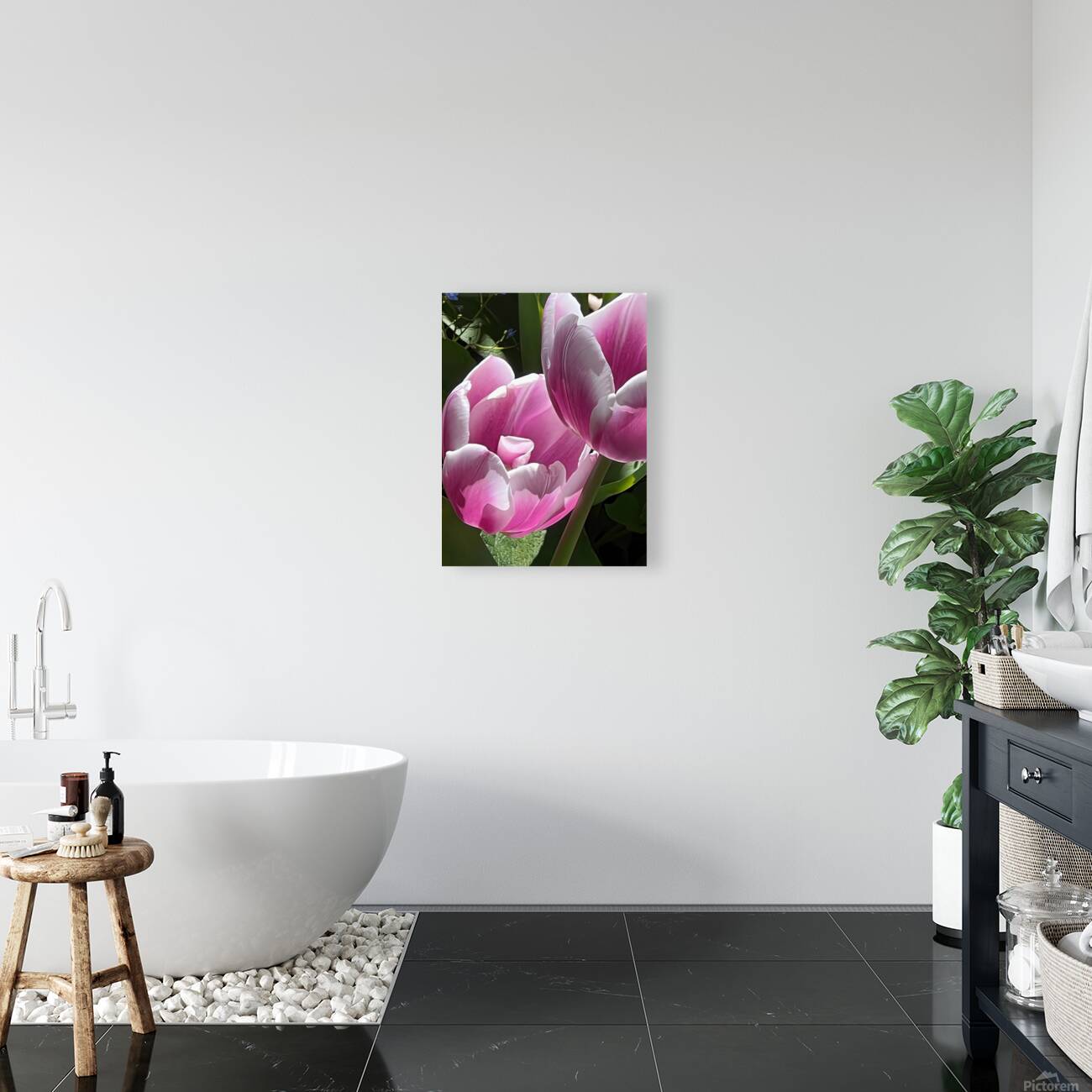 IMG 6066 Reproduction