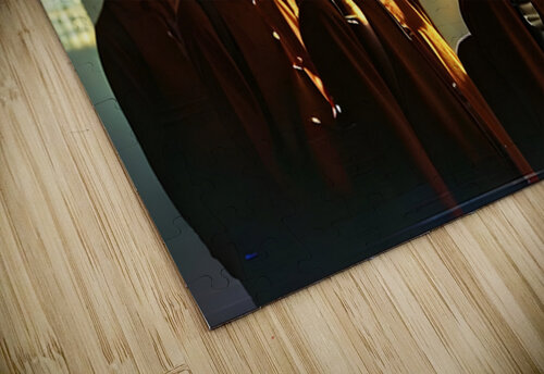 P4D 23   Believe Frederic Racaud puzzle