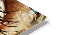 P4D 17   Eye HD Metal print