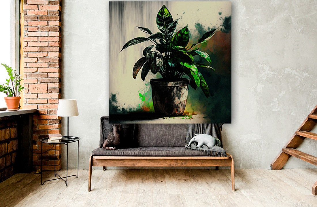 house plant Reproduction