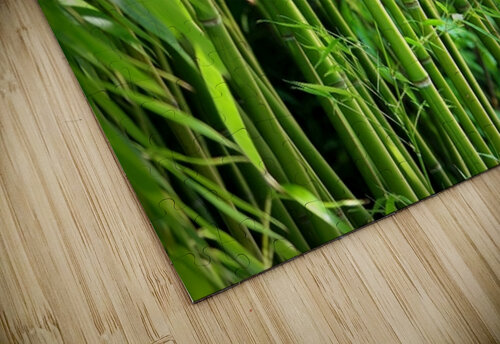 Bambus - Bamboo Gabi Siebenhuehner puzzle