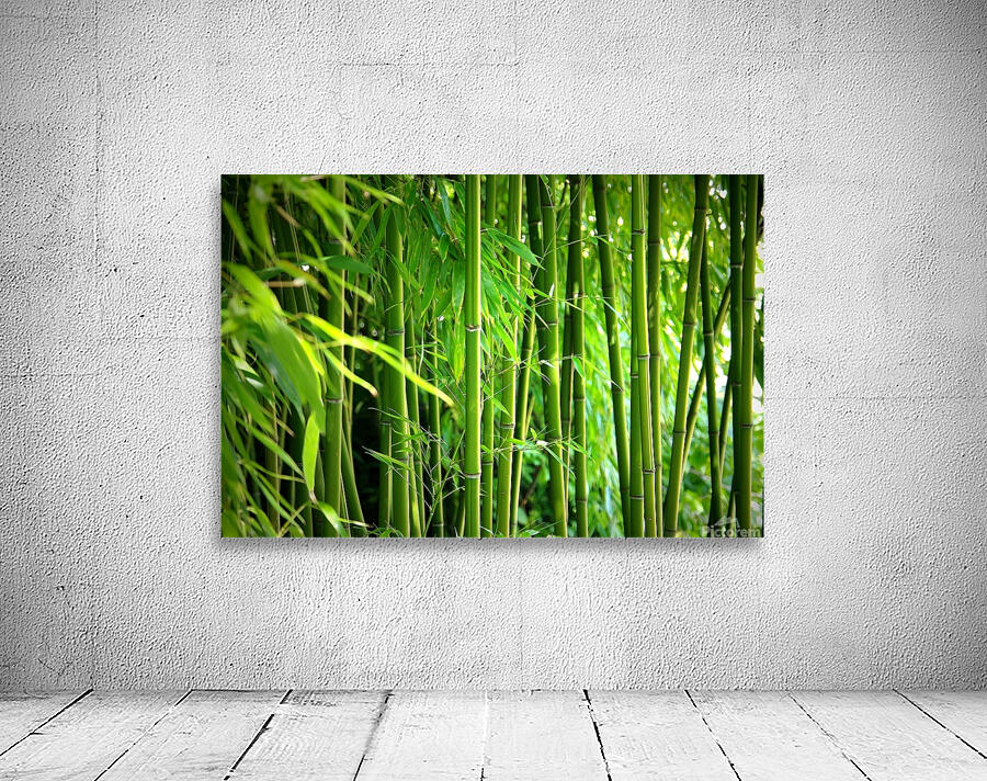 Bambus - Bamboo Wall Preview
