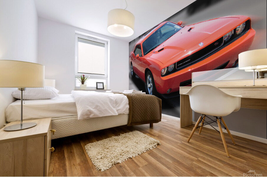 Challenger Mural print