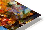 Fall Lake HD Metal print