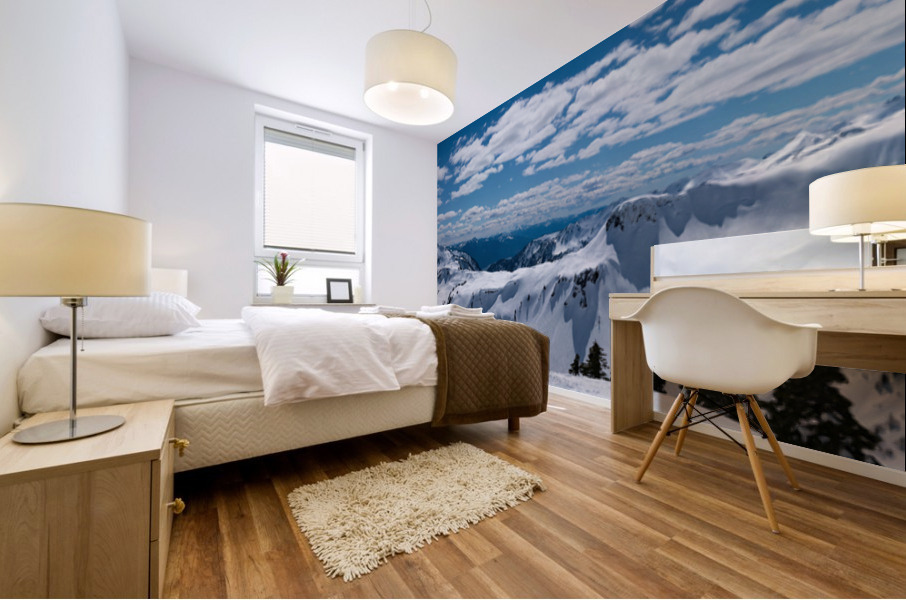 Baker Backcountry Pano Mural print