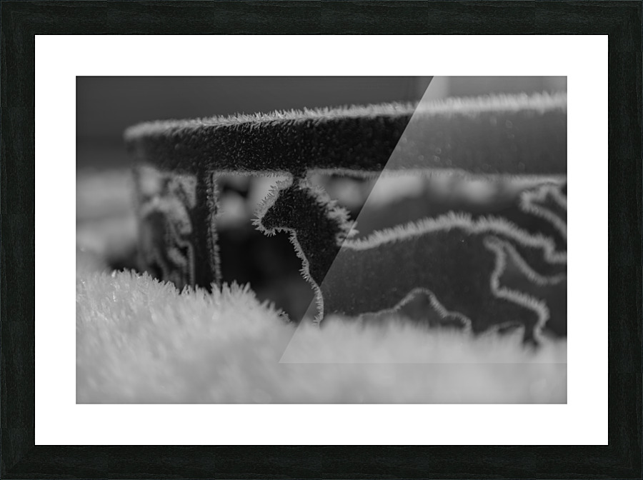 DSC 1312 Picture Frame print