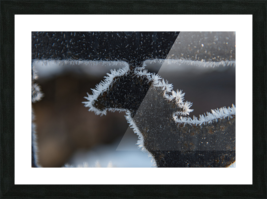 DSC 1317 Picture Frame print