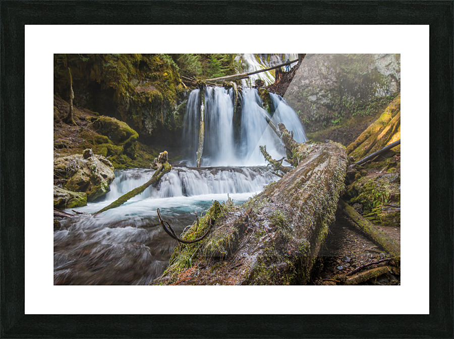 20171210 DSC 0136 Picture Frame print