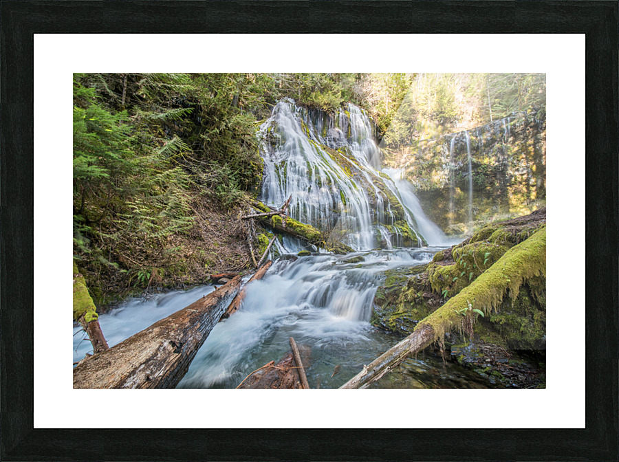 20171210 DSC 0128 Picture Frame print