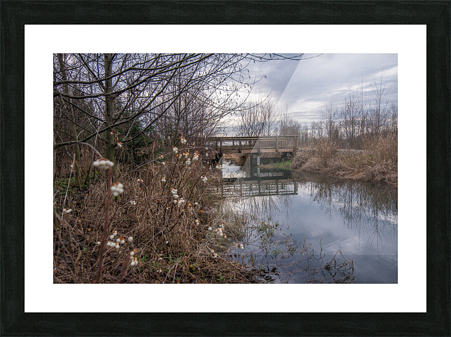 20180108 DSC 0667 Picture Frame print