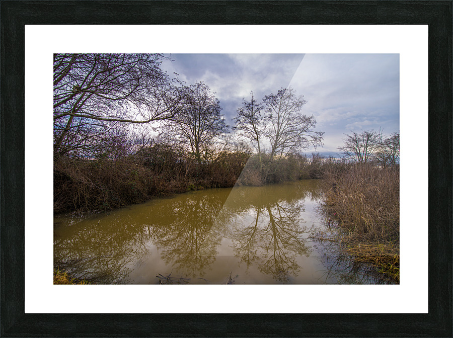 20180108 DSC 0653 Picture Frame print