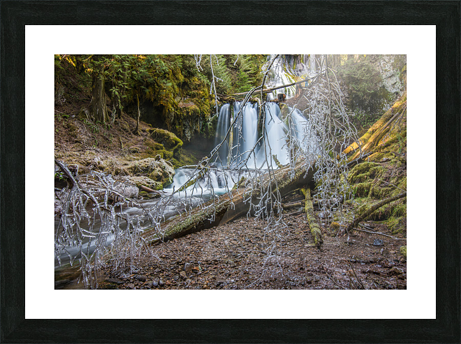 20171210 DSC 0134 Picture Frame print
