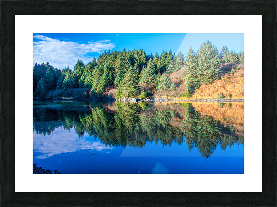 DSC 1265 Picture Frame print