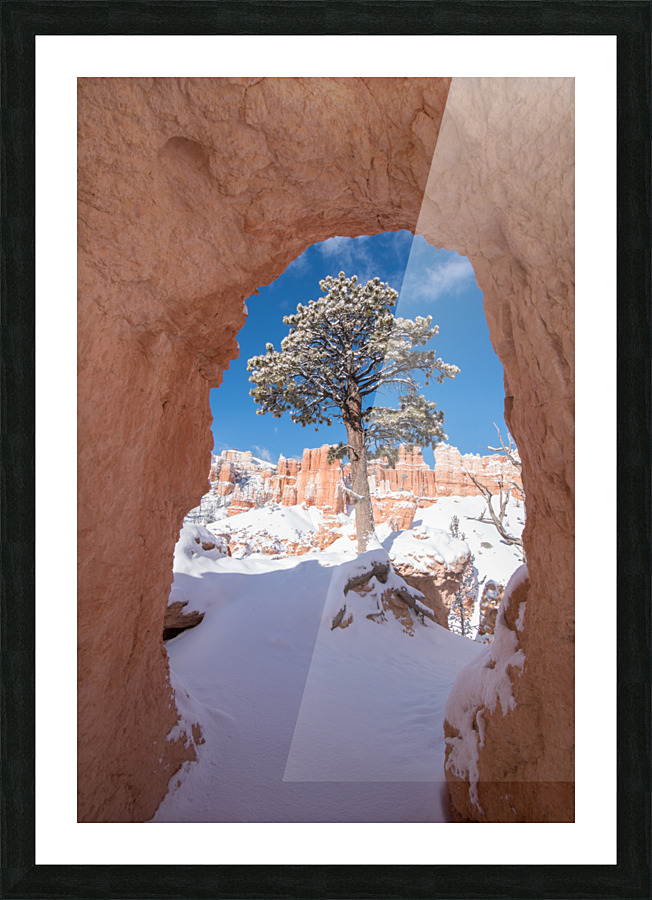 20180223 DSC 1783 Picture Frame print