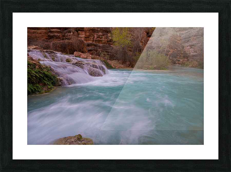 DSC 2300 2 Picture Frame print