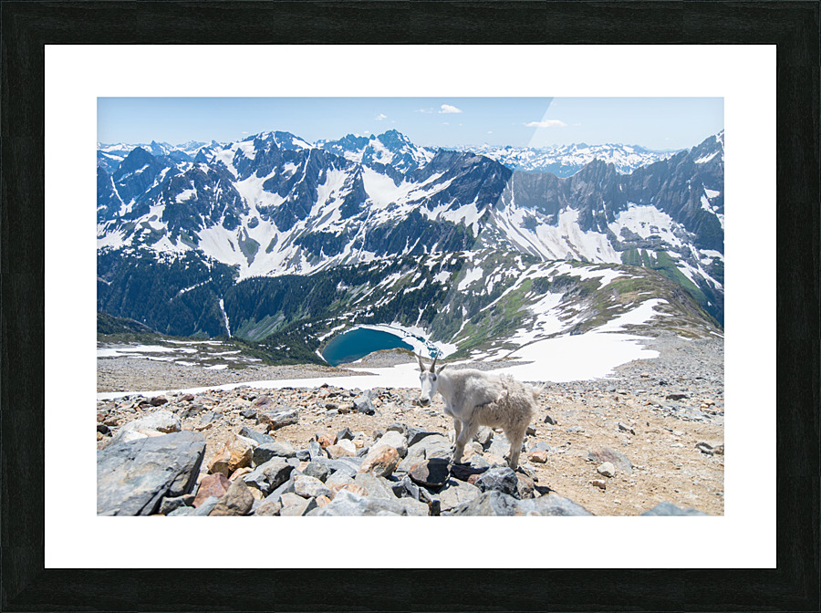 DSC 5499 Picture Frame print