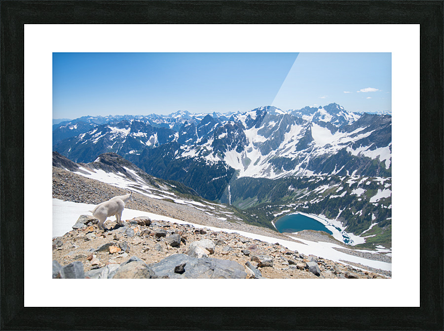 DSC 5504 Picture Frame print