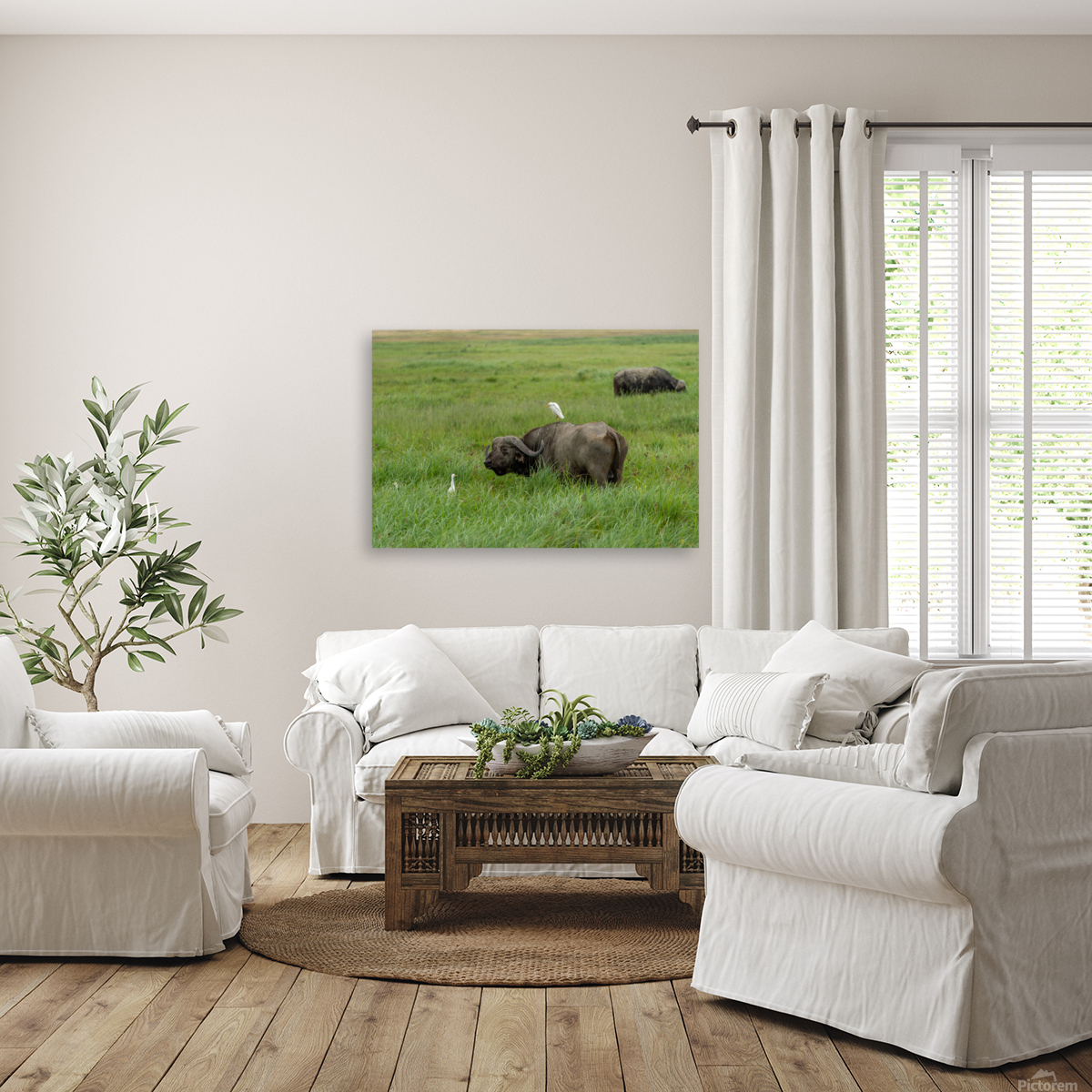 bird on buffalo Reproduction