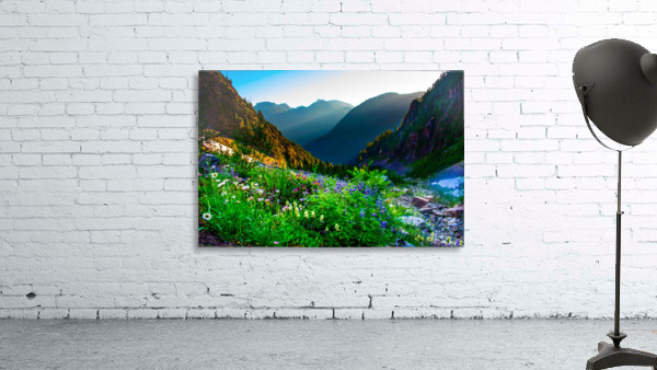 Vesper Peak Valley Wall Preview