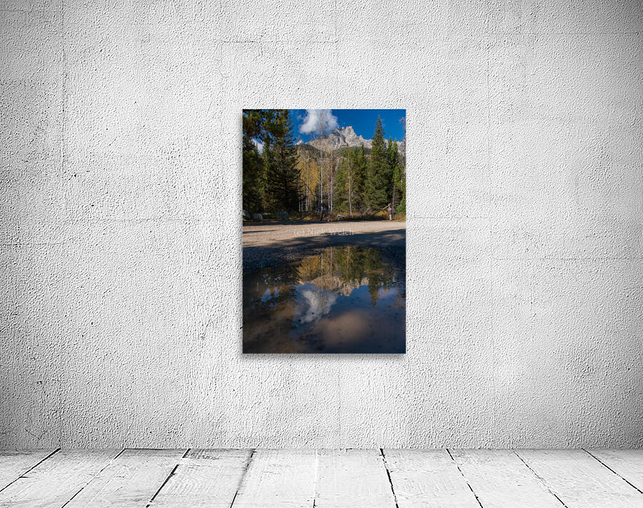 GTNP puddle Wall Preview