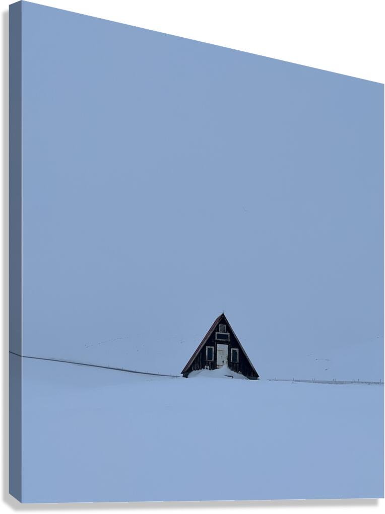 Winter Shelter Canvas Print