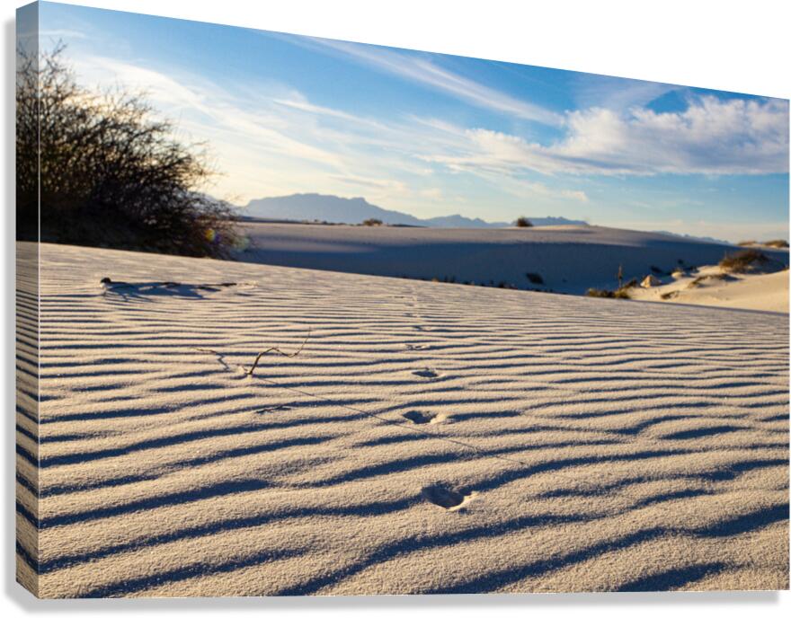 Great Sand Dunes  Canvas Print