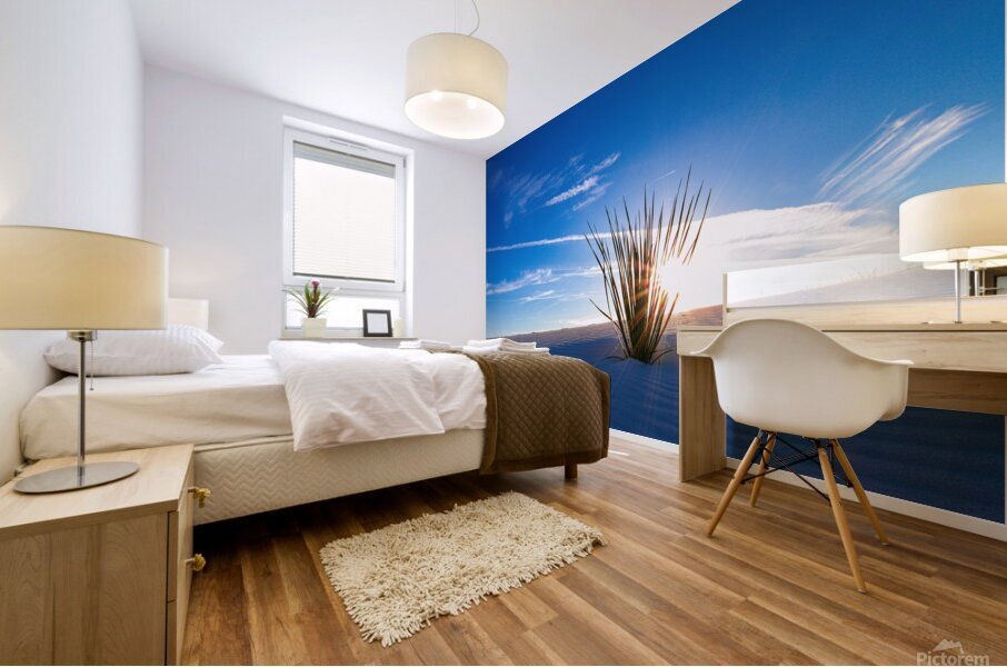 Desert Waves Mural print