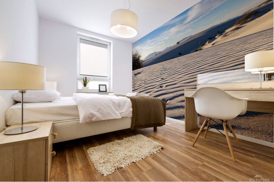 Great Sand Dunes  Mural print