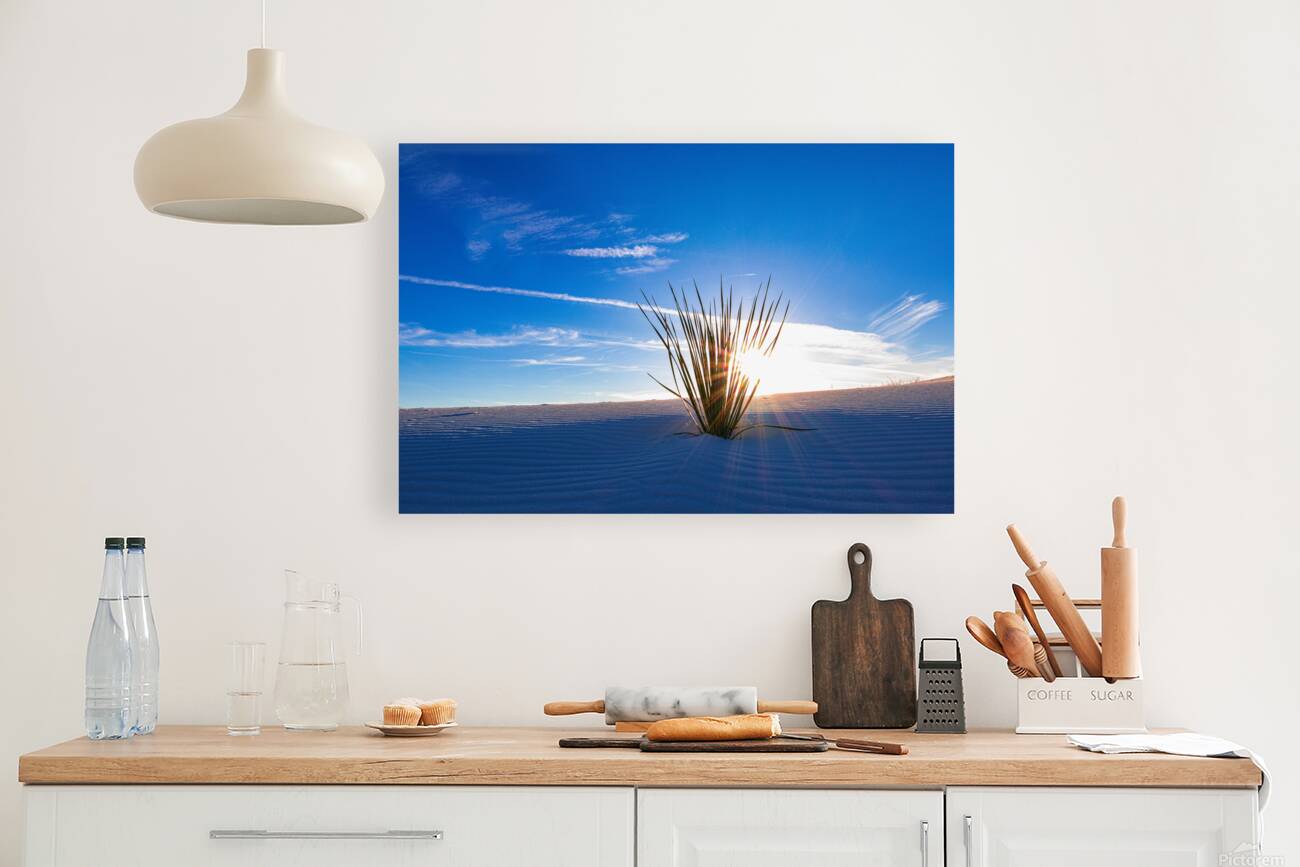 Desert Waves Reproduction