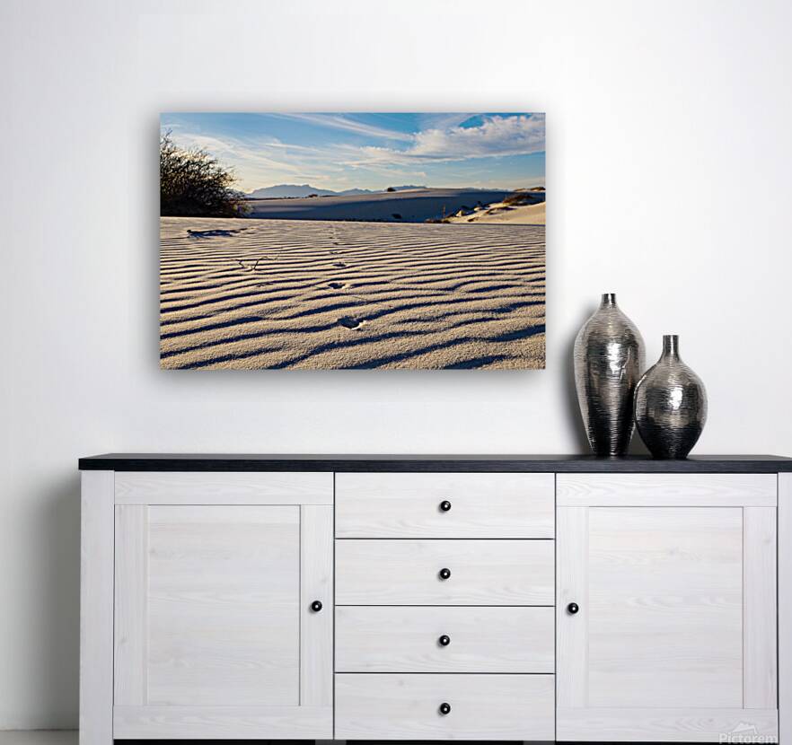 Great Sand Dunes  Reproduction