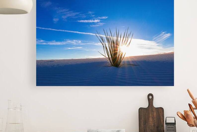 Desert Waves by John DeLeonibus
