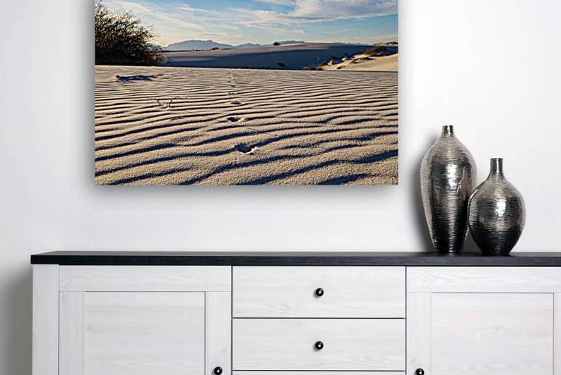 Great Sand Dunes  by John DeLeonibus