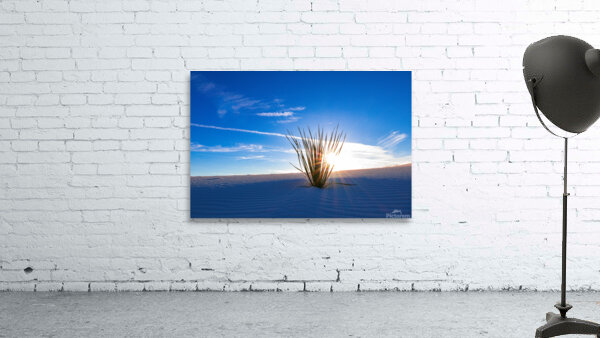 Desert Waves Wall Preview
