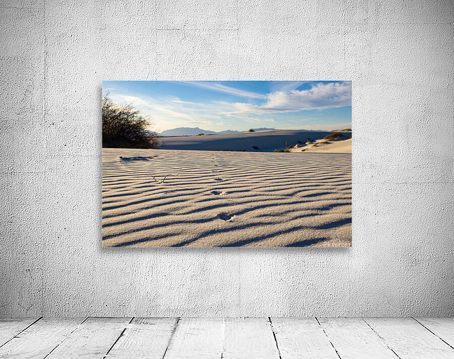 Great Sand Dunes  Wall Preview
