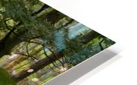 A Forest Walk HD Metal print