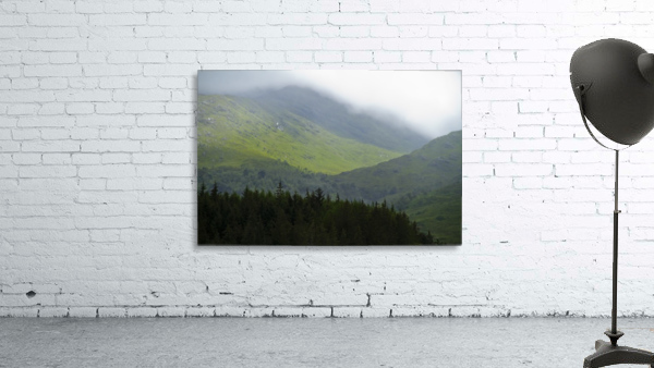 Forest Glen Wall Preview
