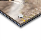 Springbok 3 Impression Acrylique