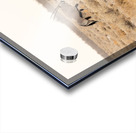 Oryx 1 Acrylic print