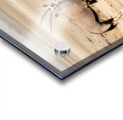 Oryx 3 Acrylic print