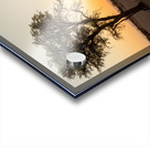 Namibia 1 Acrylic print