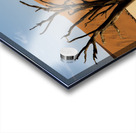 Deadvlei 1 Acrylic print