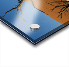 Deadvlei 2 Acrylic print