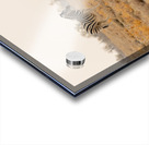 Zebra 1 Acrylic print