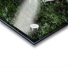 La Fortuna 1 Acrylic print