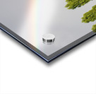 Berlin Wall 1 Acrylic print