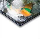 Frankfurt 1 Acrylic print